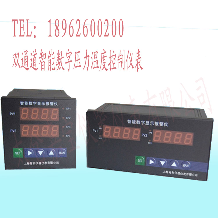 雙回路/溫度/壓力/液位智能數(shù)顯報(bào)警儀4-20MA可帶485通訊