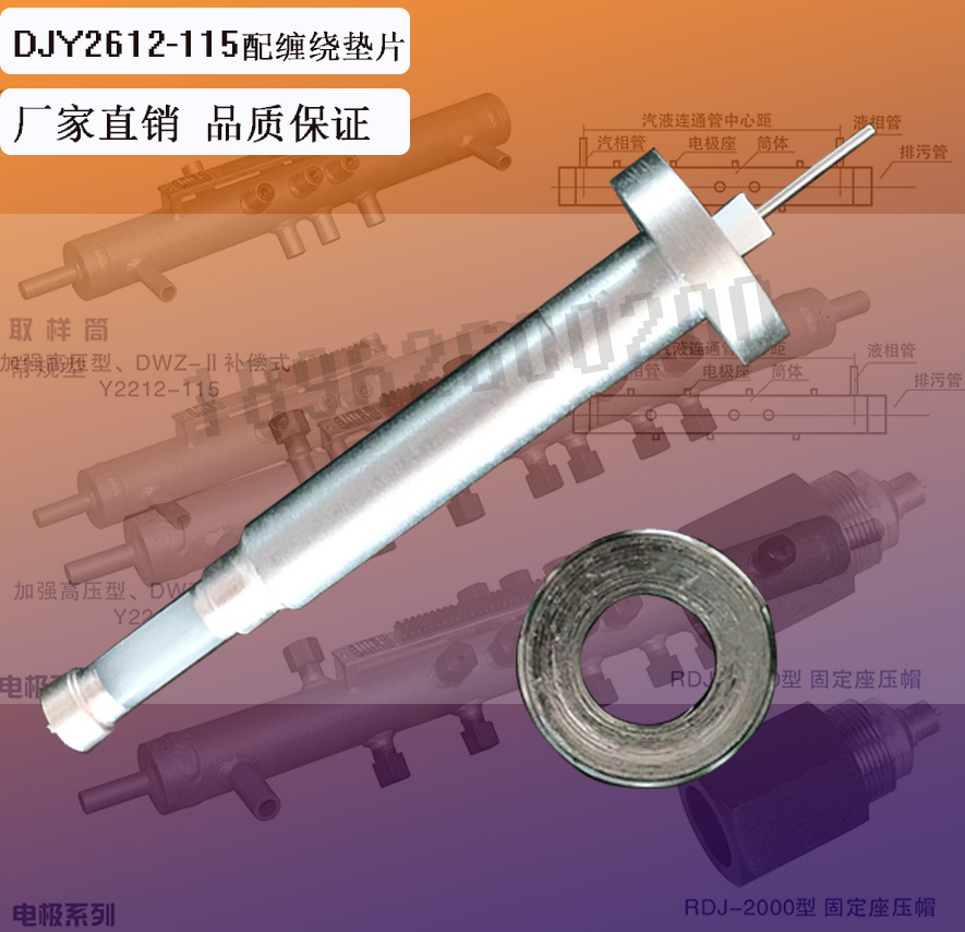 壓入式電接點(diǎn)測(cè)量筒配套/電接點(diǎn)液位計(jì)DJY2612-115電極
