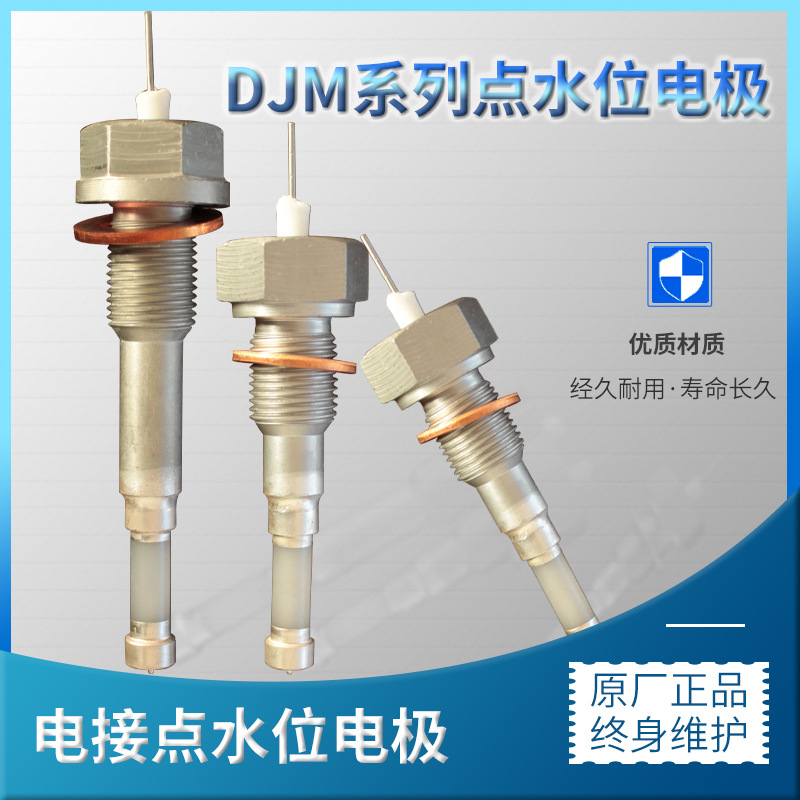 水位電極鍋爐電接點(diǎn)水位計(jì)電極液位DJM1615-87/95/115